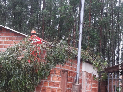 Maracaju: Irresponsabilidade de produtor rural coloca em risco vida de moradores do Conjunto Fortaleza I e II