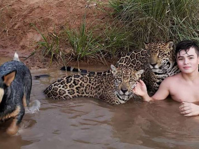  A história por trás da foto viral de um menino na lagoa com duas onças