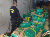DOF faz a maior apreensão de droga do ano de 2018. Foram mais de 10 toneladas de Maconha apreendidos em um caminhão