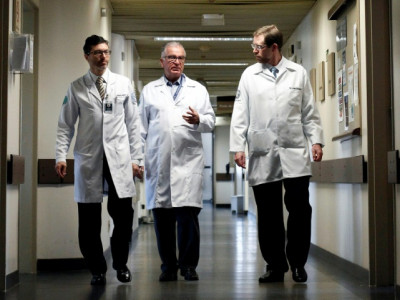 Médicos brasileiros prontos para novos transplantes de úteros férteis Médicos brasileiros prontos para novos transplantes de úteros férteis