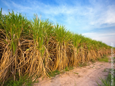 Linha foliar de fertilizantes para grãos e cana-de-açúcar é destaque da Ubyfol na Showtec