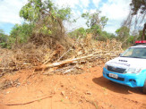 PMA autua infrator em R$ 14 mil por desmatamento ilegal de 14 hectares de vegetação nativa