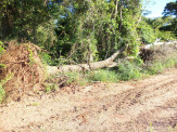 PMA autua infratora em R$ 4,2 mil por derrubada de árvores nativas em 14 hectares para plantio de lavoura