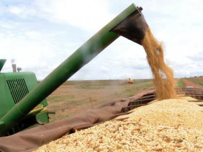  Safra de grãos de 2019 deve ser 3,1% maior que a de 2018, diz IBGE