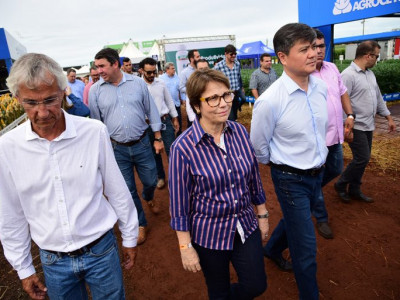 Tereza Cristina envia secretário para representar Ministério da Agricultura no Showtec Tereza Cristina envia secretário para representar Ministério da Agricultura no Showtec