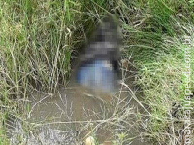 Caseiro encontrado morto em MS foi vítima de infarto fulminante, diz perícia Caseiro encontrado morto em MS foi vítima de infarto fulminante, diz perícia