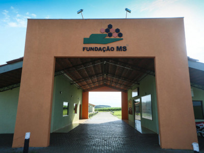 Com 27 anos de existência, Fundação MS destaca pioneirismo na agricultura do Estado