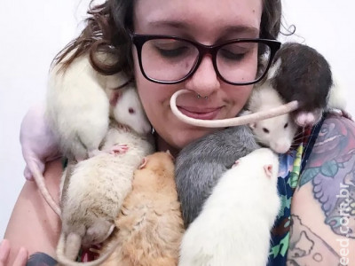 Jovem adota ratazanas e as cria como filhos: 