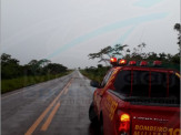 Maracaju: Corpo de Bombeiros desobstruem Rodovia MS-460, após árvore cair com fortes ventos