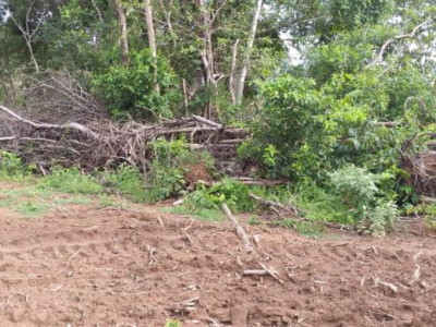 Polícia Militar Ambiental autua dois campo-grandenses em R$ 19,5 mil por quatro desmatamentos ilegais em suas propriedades em Camapuã