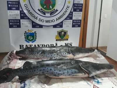 Polícia Militar Ambiental autua homem de 53 anos em R$ 1,2 mil por transporte de 27 kg de pescado ilegal