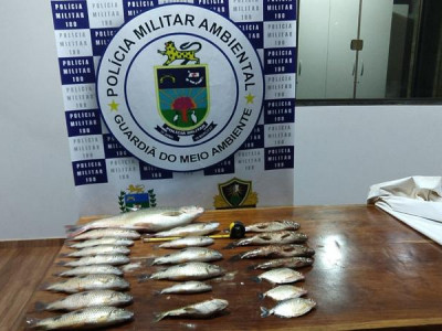 Polícia Militar Ambiental prende e autua infrator em R$ 3 mil por transportar pescado com pesca proibida e peixe fora da medida