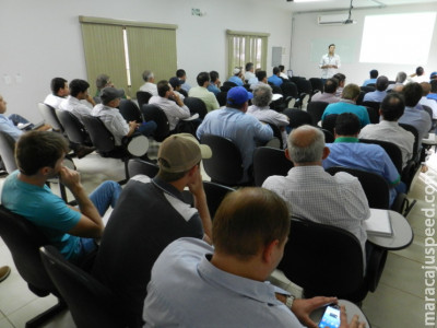 Maracaju: Resultados de pesquisas trazem ferramentas para potencializar produtividade da soja em MS 