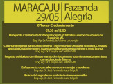 Maracaju: Dia de Campo Safrinha 2019 – Fundação MS
