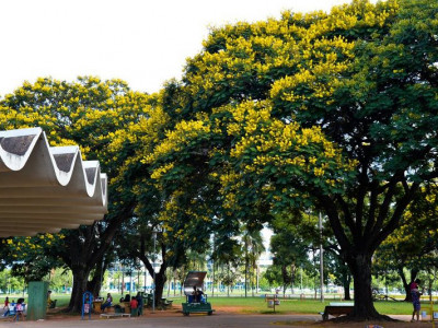 Natureza beneficia bem-estar e saúde da população, mostra pesquisa Natureza beneficia bem-estar e saúde da população, mostra pesquisa