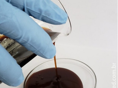 Pesquisadores extraem substância antimicrobiana da casca da castanha do caju Pesquisadores extraem substância antimicrobiana da casca da castanha do caju