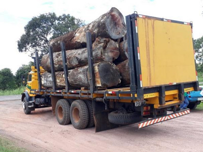 Polícia Militar Ambiental de Campo Grande autua madeireira em R$ 7,5 mil e apreende caminhão com carga ilegal de 25 m³ de madeira em toras