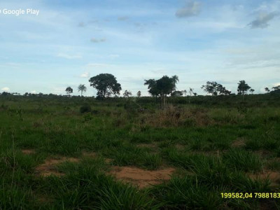 Polícia Militar Ambiental de Coxim autua infrator de 45 anos em R$ 9 mil por desmatamento de 30 hectares de vegetação descobertos por imagens de satélites