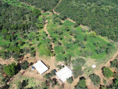 Polícia Militar Ambiental de Coxim autua infrator em R$ 4 mil por desmatamento de vegetação nativa descoberto com uso de drone