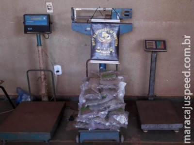 Casal é preso com tabletes de supermaconha escondidos em lataria de carro Casal é preso com tabletes de supermaconha escondidos em lataria de carro