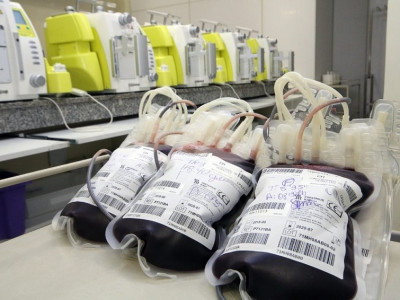 Frio e doenças respiratórias derrubam doações de sangue em 80%