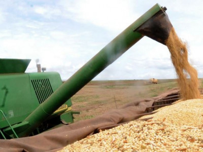 IBGE eleva estimativa da safra de grãos para 2019