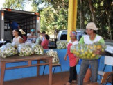 Maracaju Forte no Campo: potencializando a agricultura familiar