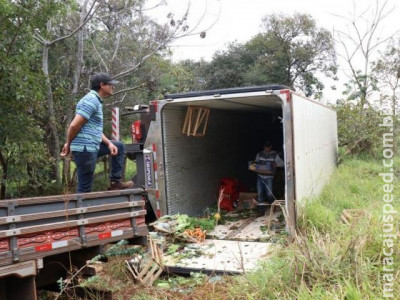 Motorista tenta desviar de capivara e tomba caminhão carregado com verduras