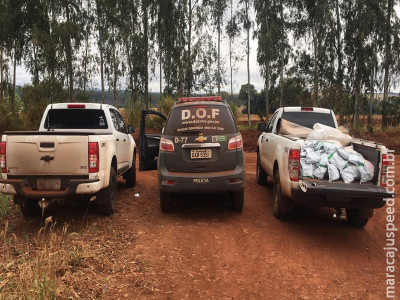 Quase 400 quilos de agrotóxicos contrabandeados do Paraguai foram apreendidos pelo DOF Quase 400 quilos de agrotóxicos contrabandeados do Paraguai foram apreendidos pelo DOF