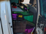 Camionete com mais de mil e trezentos quilos de maconha foi apreendida pelo DOF