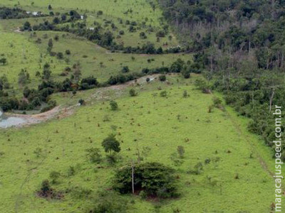 Começa hoje prazo para entrega da declaração de propriedade rural Começa hoje prazo para entrega da declaração de propriedade rural