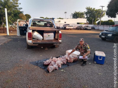 Polícia Militar Ambiental prende e autua paulista em R$ 43 mil com 87 kg de carne de animais silvestres abatidos com arma de fogo