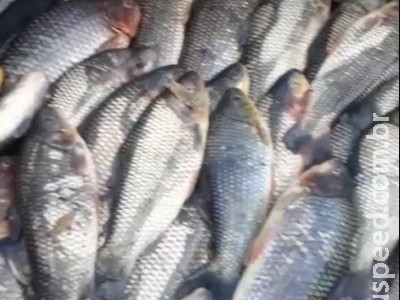 Homem divulga vídeo de pesca ilegal e é autuado por crime ambiental