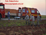 Maracaju: Colisão frontal entre carretas bi trem na MS-157