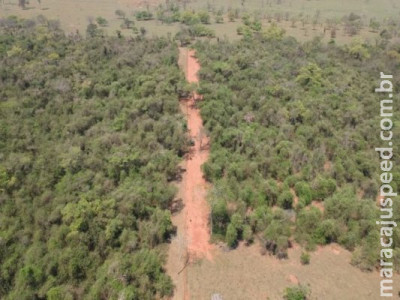 PMA autua infrator em R$ 7 mil por desmatamento ilegal 