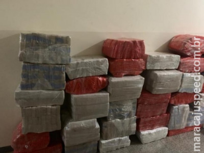 Polícia localiza quase 2 toneladas de maconha em barracão