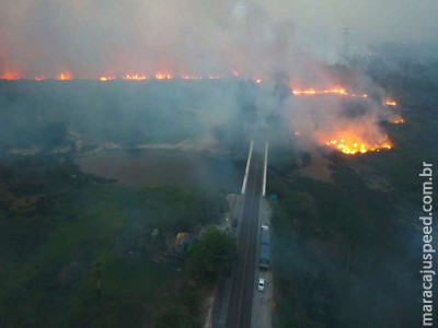 Força-tarefa combate fogo e queimadas já destruíram 50 mil hectares no Pantanal
