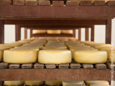 Mapa publica norma para a produção de queijo minas meia cura