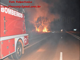 Maracaju: Corpo de Bombeiros atendem ocorrência de fogo em vegetação as margens da Rodovia BR-267