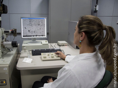 Produção de nanocristais de celulose se aproxima da escala industrial Produção de nanocristais de celulose se aproxima da escala industrial