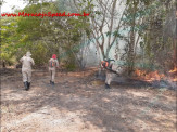 Bombeiros de Maracaju atuam no combate ao incêndio que destrói o bioma pantaneiro do MS