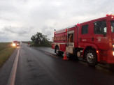 Maracaju: Bombeiros são acionados para atender ocorrência de queda de árvore na Rodovia BR-267