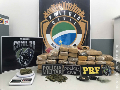 Polícia Civil de Jardim deflagra operação de combate ao tráfico de drogas