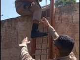 Maracaju: Corpo de Bombeiros resgatam gatinho preso em residência. Proprietária do animal agradeceu os Bombeiros em vídeo Maracaju: Corpo de Bombeiros resgatam gatinho preso em residência. Proprietária do animal agradeceu os Bombeiros em vídeo