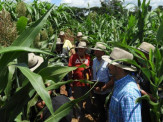 Showtec 2020 - Multinacional sul-americana estreia no circuito brasileiro de feiras agro Showtec 2020 - Multinacional sul-americana estreia no circuito brasileiro de feiras agro
