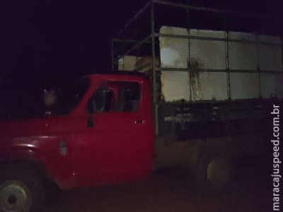 Animais transportados irregularmente são apreendidos em caminhão Animais transportados irregularmente são apreendidos em caminhão
