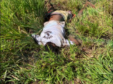 Maracaju: Homem encontrado morto as margens da Rodovia BR-267 ainda não foi identificado pelas autoridades