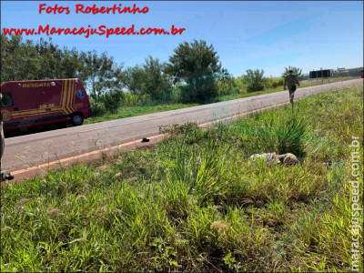 Maracaju: Polícia Civil identifica vítima fatal de atropelamento na BR-267 Maracaju: Polícia Civil identifica vítima fatal de atropelamento na BR-267