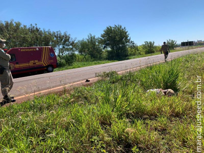 Urgente: Homem é encontrado morto as margens da BR-267 de Maracaju Urgente: Homem é encontrado morto as margens da BR-267 de Maracaju