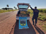 Em ocorrências simultâneas no mesmo local Polícia Militar Rodoviária apreende mais de 860 kg de drogas em Maracaju